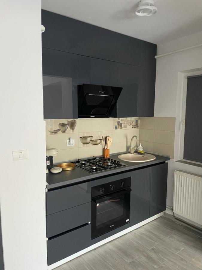 Timisoara Central Apartment New Parking !! Exterior photo